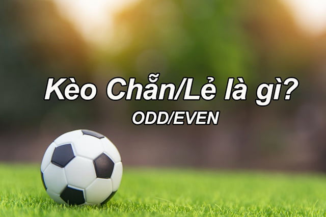 Các trang web chơi máy đánh bạc trực tuyến tốt nhất năm 2026 (xếp hạng AAA) - Ok9