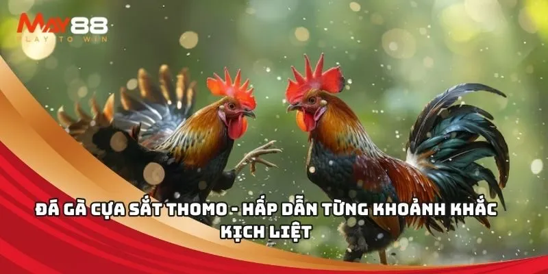 Trang web 100Bet Games mang lại những lợi thế vượt trội - 100Bet
