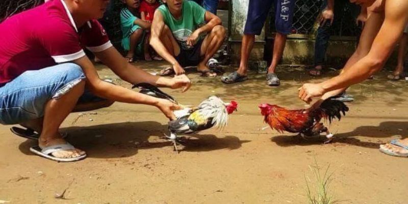 Quyền và trách nhiệm của các quan chức cấp độ 1 Okking - Okking