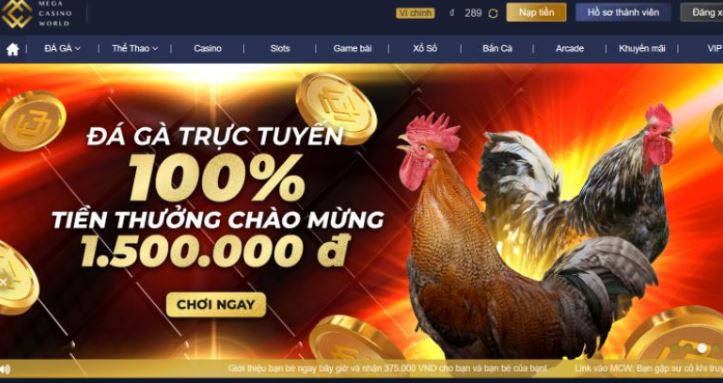 Zet88 cung cấp các dịch vụ cá cược thể thao hấp dẫn và kịch tính - Zet88