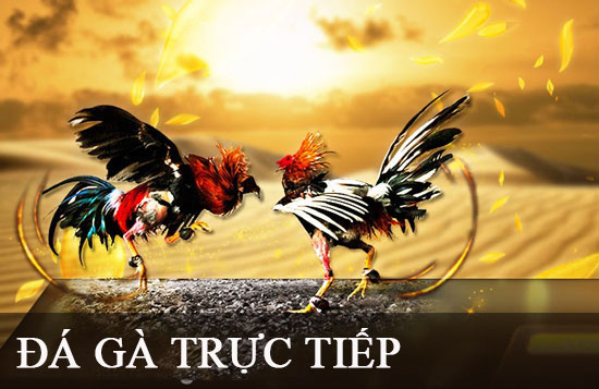 Tính năng đặc biệt 68Game - 68Game