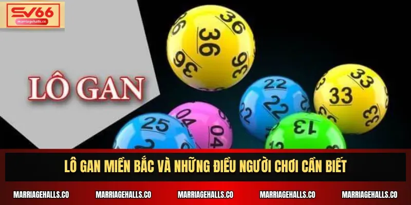 Nhận ngay phần thưởng chương trình quà tặng Bj66 50k chỉ với vài bước đơn giản - Bj66