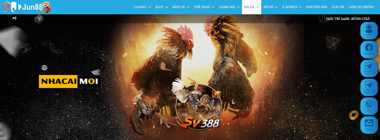 Đánh giá tính chuyên nghiệp của các trang web chơi game được xếp hạng V99 - V99