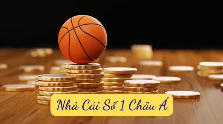 Một cổng đăng nhập trò chơi cấp độ C54 cung cấp nhiều kênh khác nhau - C54