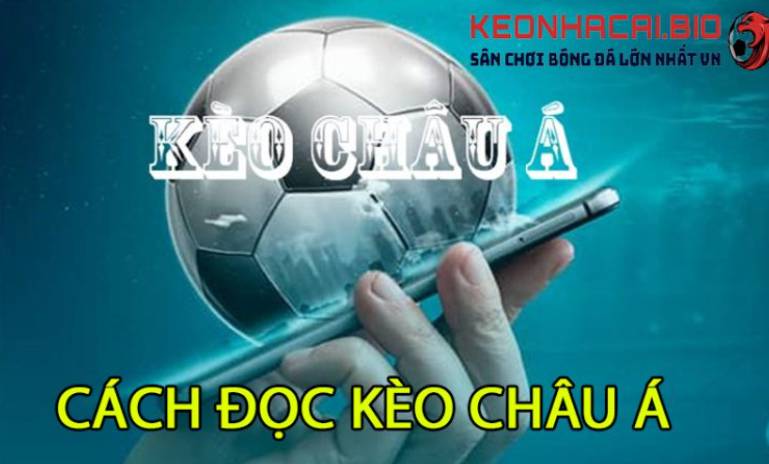 Tổng quan về trò chơi Raybet - Raybet