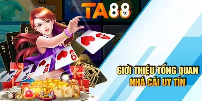 Gà chọi cấp Vi68 có những ưu điểm gì thu hút người chơi? - Vi68