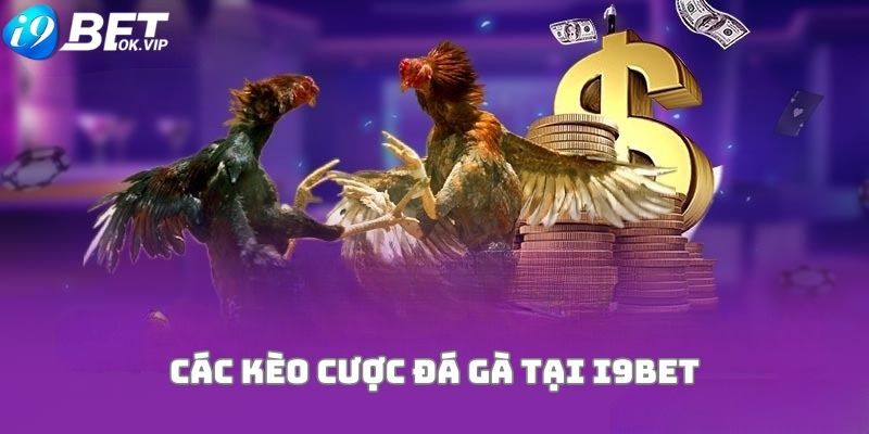 Thư viện game cấp độ 18Win rất phong phú về nội dung và có nhiều trò chơi hấp dẫn - 18Win