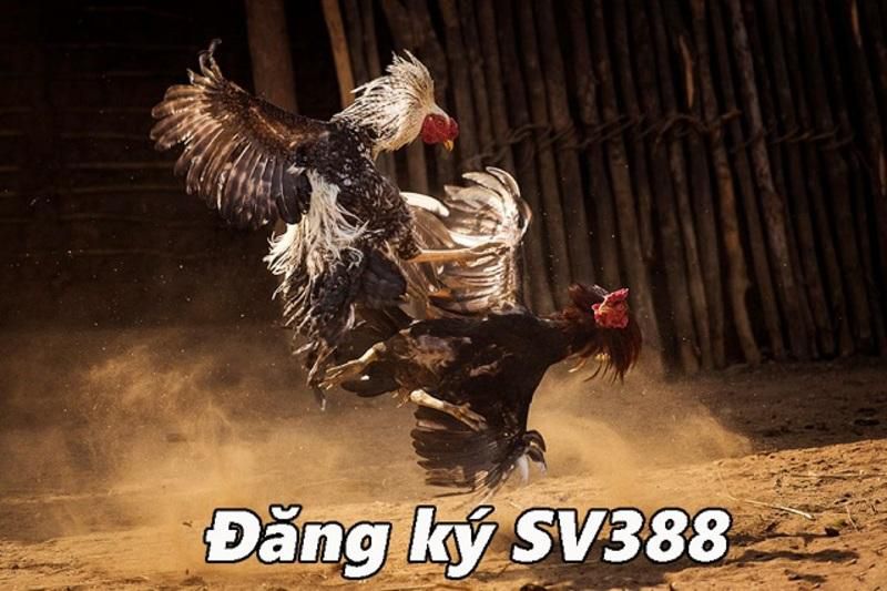 Đánh giá toàn diện về nền tảng Lv88 - Lv88