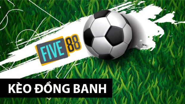 So với hạng V7bet, VIP 89 có những ưu điểm và đặc điểm gì? - V7bet