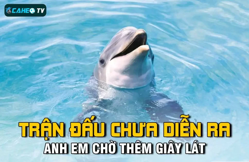 Công ty Betcom Games đã tổ chức một sự kiện tri ân khách hàng - Betcom