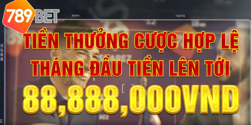Cách tham gia cá cược với một công ty cá cược uy tín đạt chuẩn Fcb88 - Fcb88