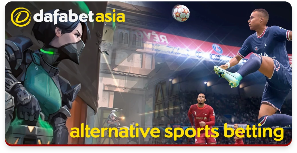 Bạn biết gì về Nbet Online Playground? - Nbet