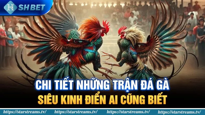 Hãy đăng nhập vào trang web của Ricwin; Ricwin rất an toàn - Ricwin